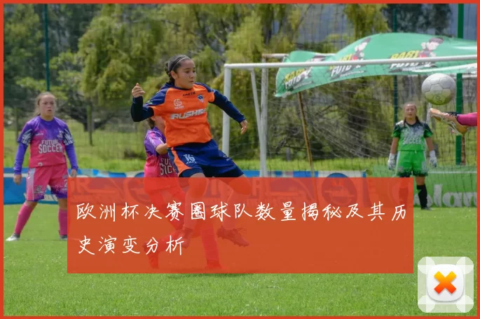 欧洲杯决赛圈球队数量揭秘及其历史演变分析